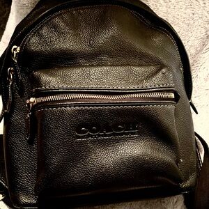 Coach Blue Short Sleeve Tee